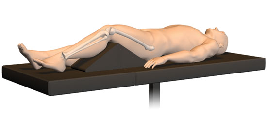 Biomet Mannequin