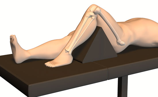 Biomet Mannequin