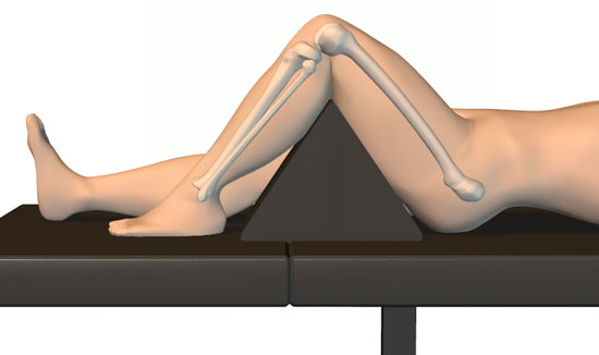 Biomet Mannequin