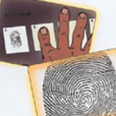 New Jersey Office of Insurance Fraud Prosecutor